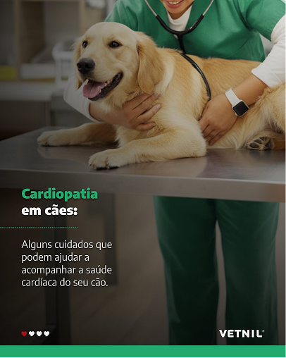 Cardiopatia em cães