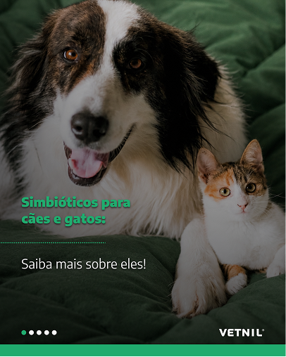 Simbióticos para cães e gatos