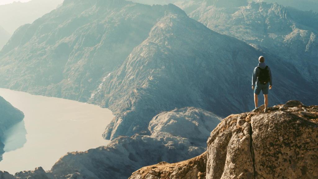 Como a Layer Up Transformou a Presença Digital da Wolff e Scripes Advogados (WSA)