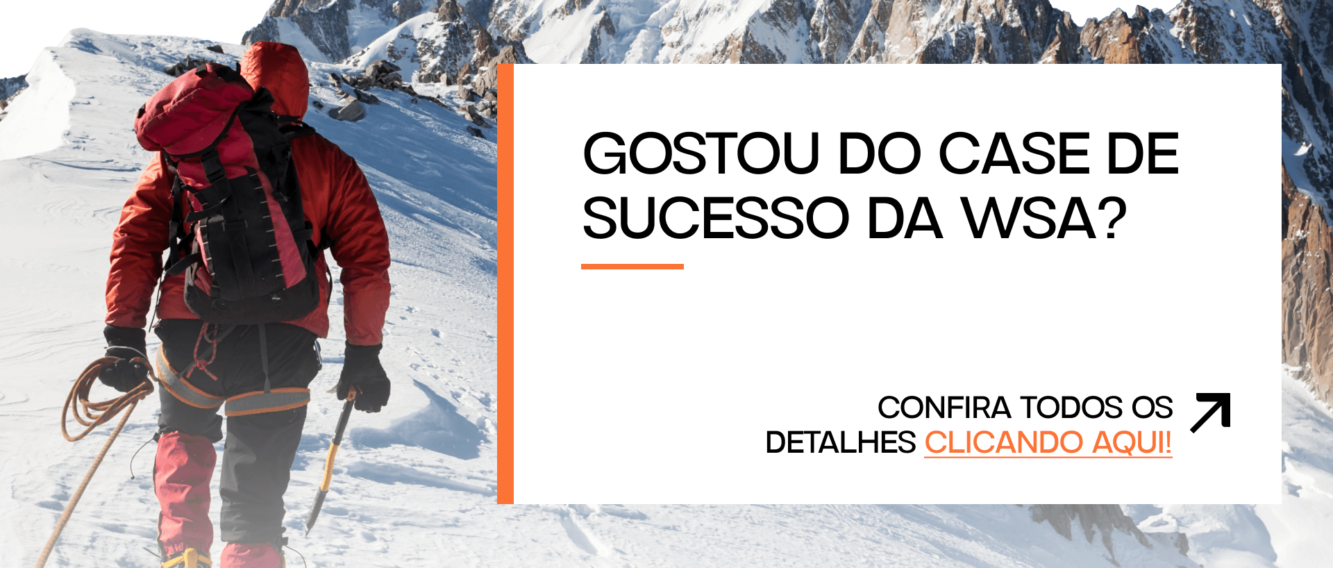 Gostou do case de sucesso da WSA? Confira todos os detalhes clicando aqui!