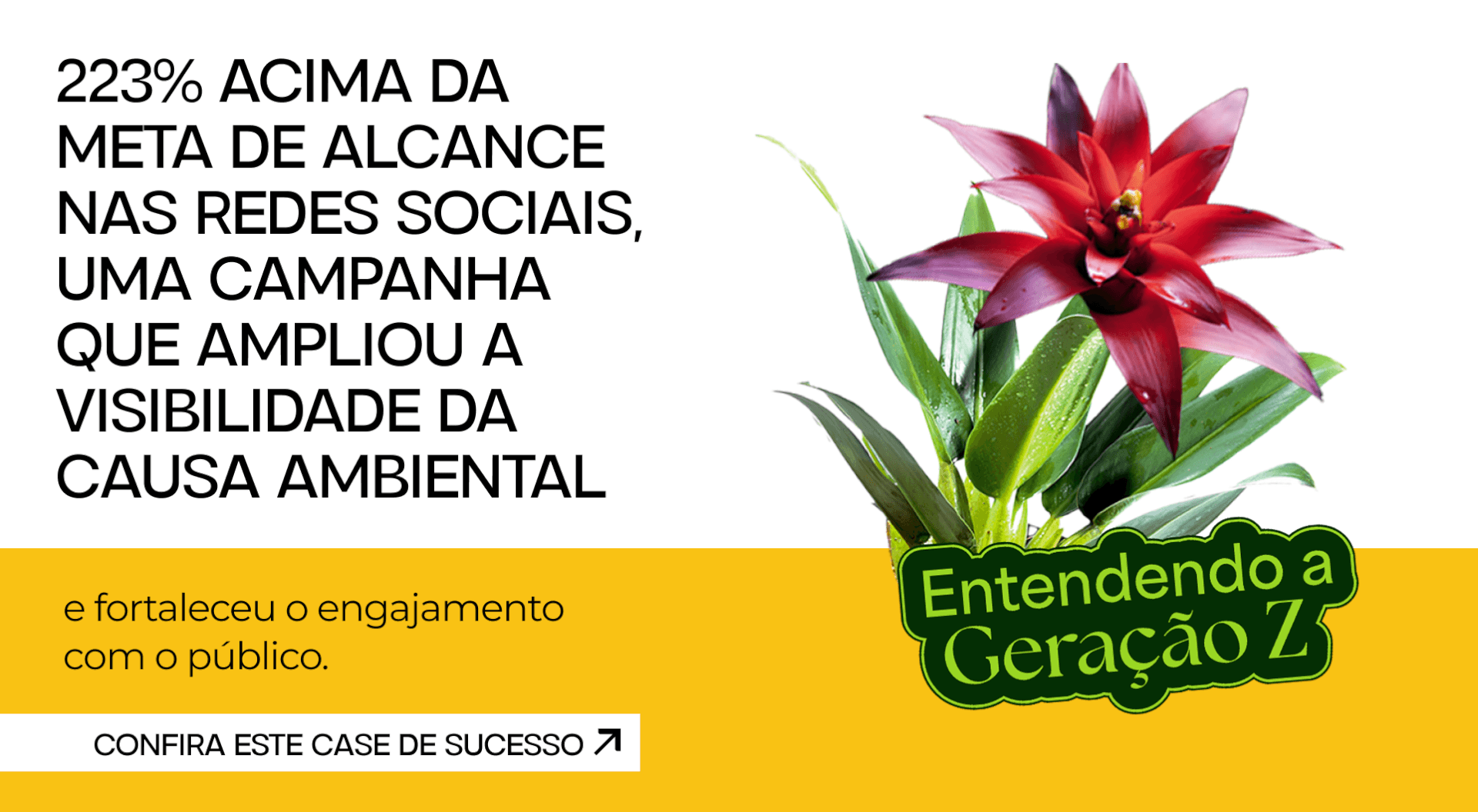 223% acima da meta de alcance nas redes sociais, uma campanha que ampliou a visibilidade da causa ambiental e fortaleceu o engajamento com o público. 